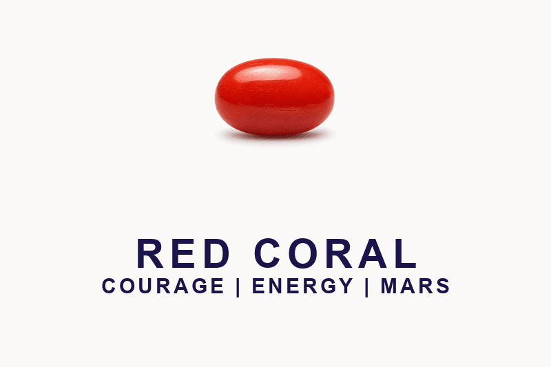 Red Coral (Moonga) - Natural