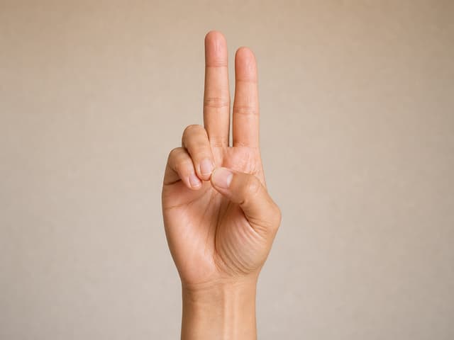Prana Mudra hand mudra