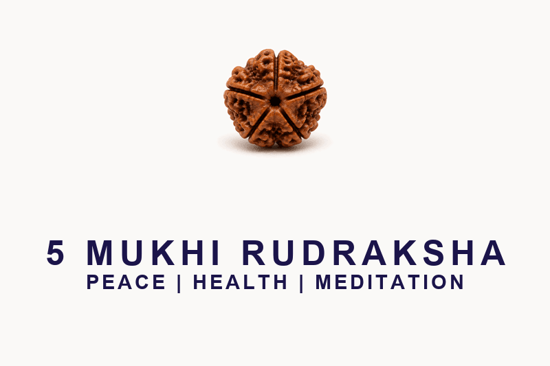 5 Mukhi Rudraksha
