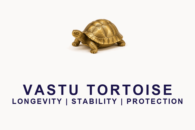 Vastu Tortoise - Brass