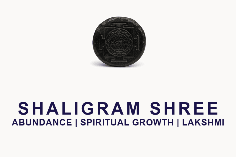 Premium Handmade Shaligram Shree Yantra